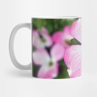 Dogwood Flowers in Spring Mug